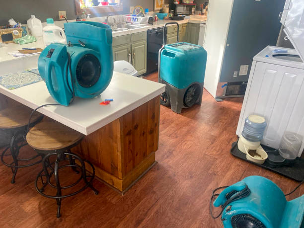 Best Local water damage restoration  in Samoset, FL