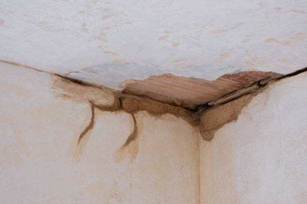 Best Commercial water damage restoration  in Samoset, FL