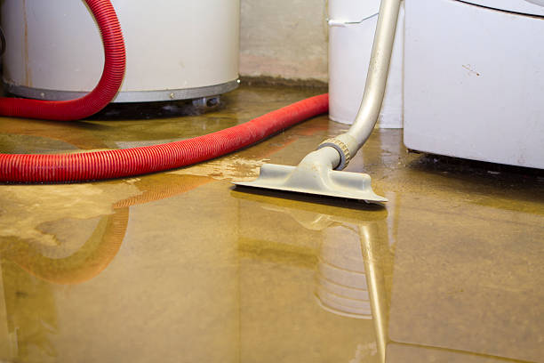 Best Water damage contractors near me  in Samoset, FL