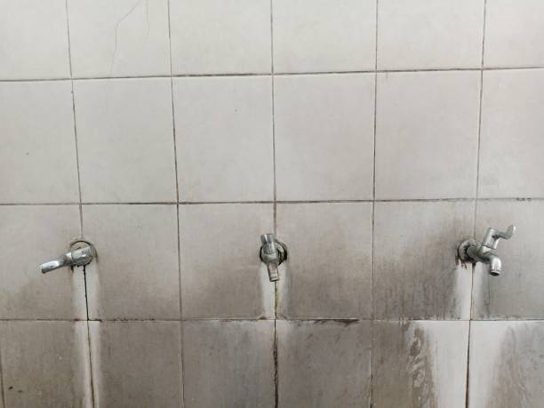 Best Basement water damage restoration  in Samoset, FL