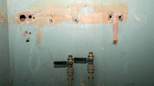 Best Commercial water damage restoration  in Samoset, FL