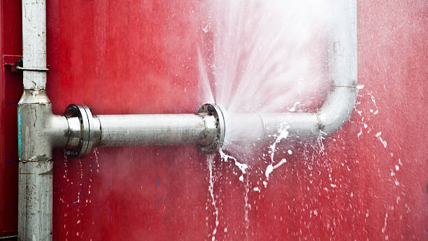 Best Flood damage cleanup  in Samoset, FL